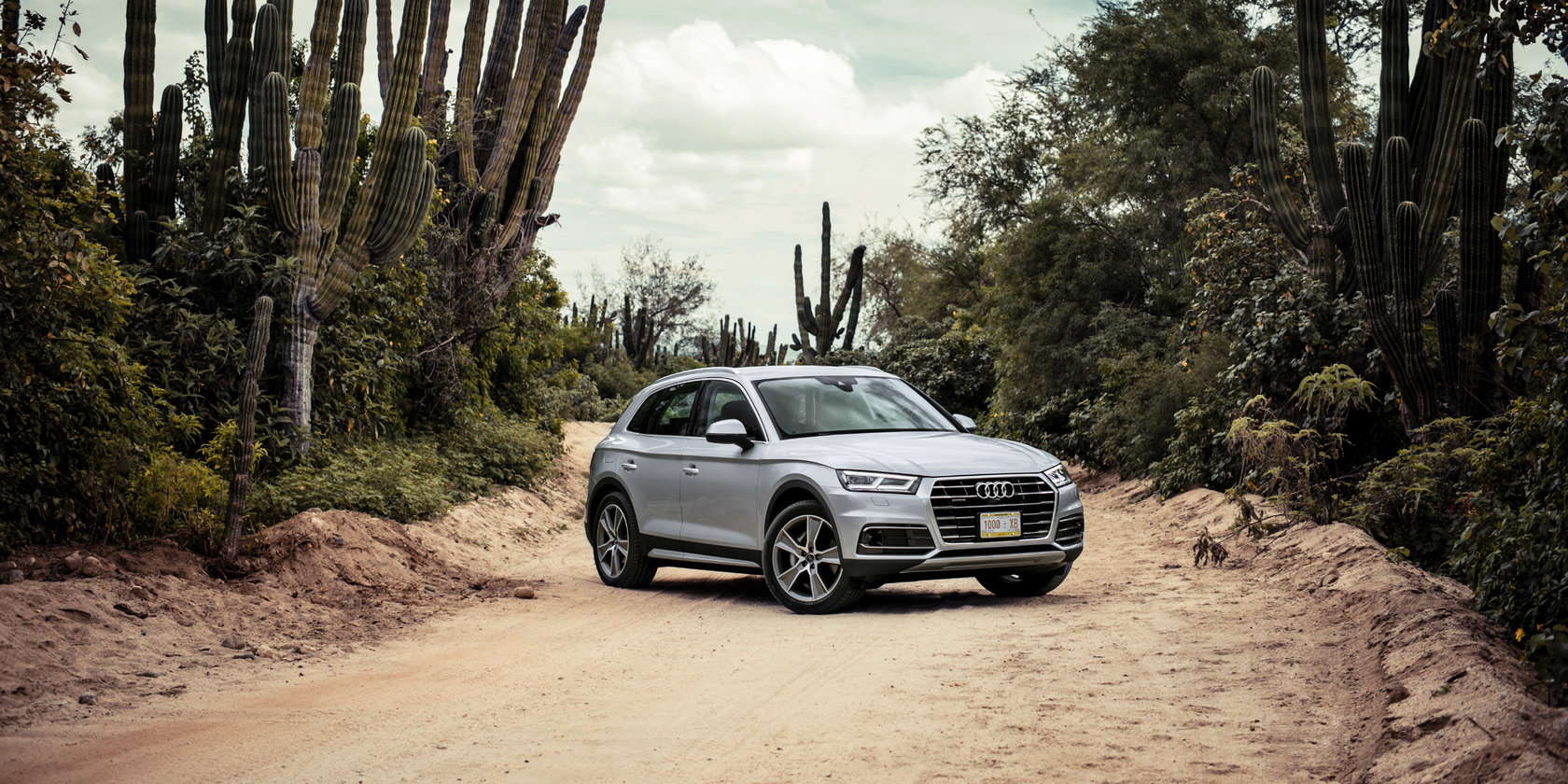 2018 아우디 Q5 [데이터주의] | 인스티즈