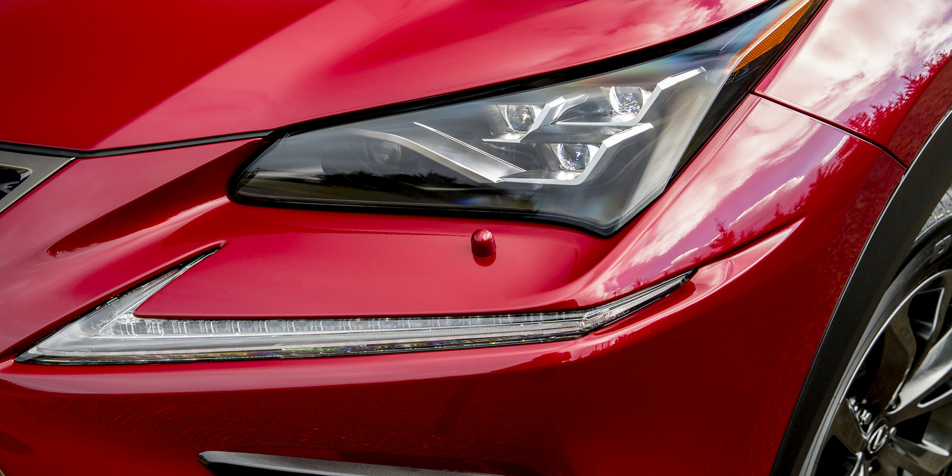 2018 렉서스 NX [데이터주의] | 인스티즈