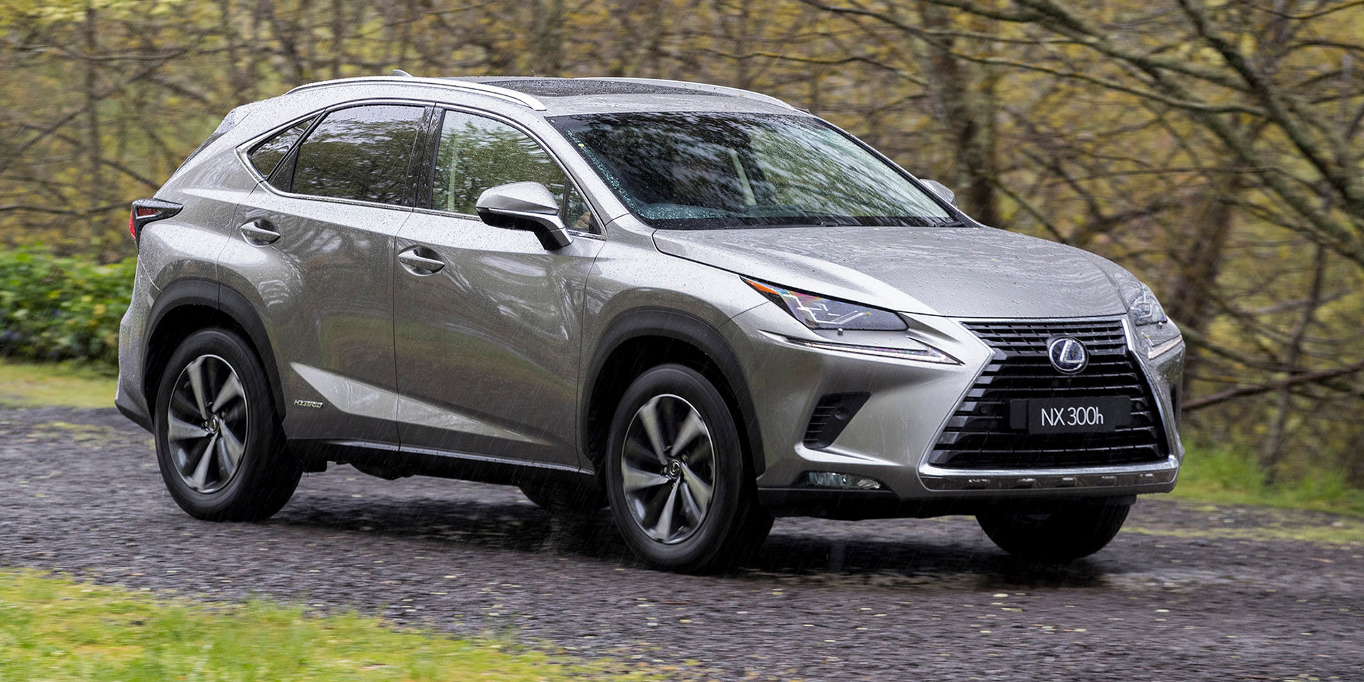 2018 렉서스 NX [데이터주의] | 인스티즈