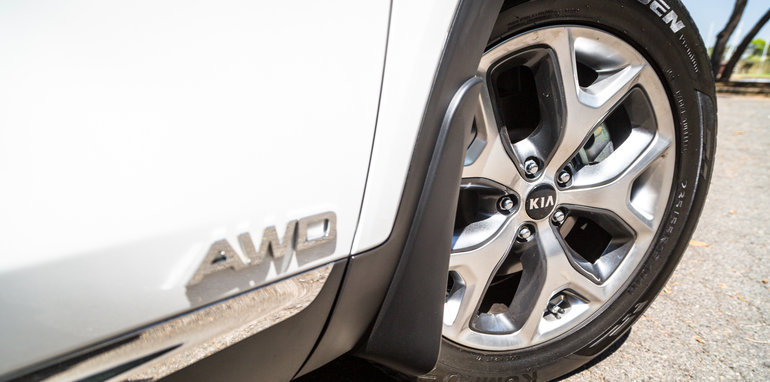 TCR SantaFe & Sorento-164