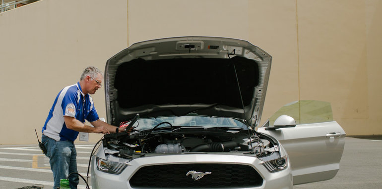 mustang