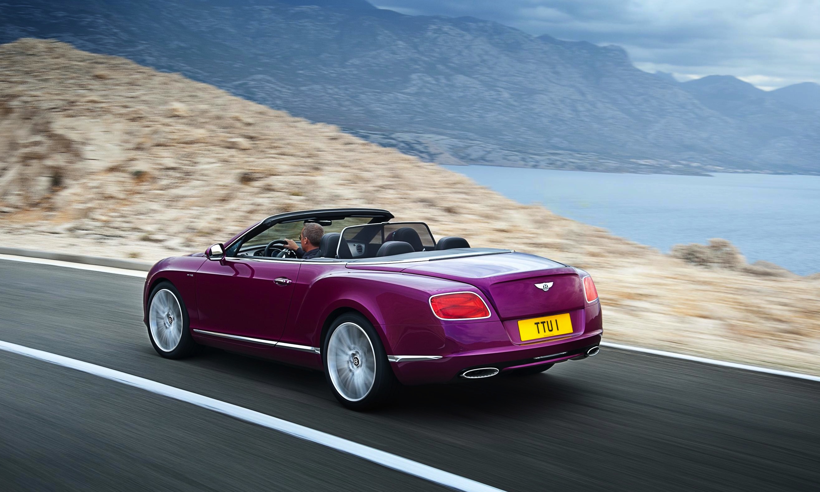 Revealed: The Top Speed Of The Fastest Gazelle - wglyqkx
