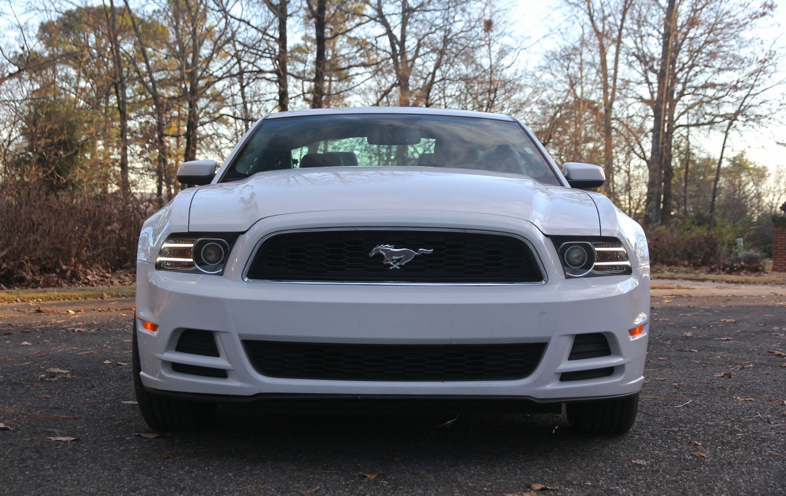 Turbo For 2014 Mustang V6