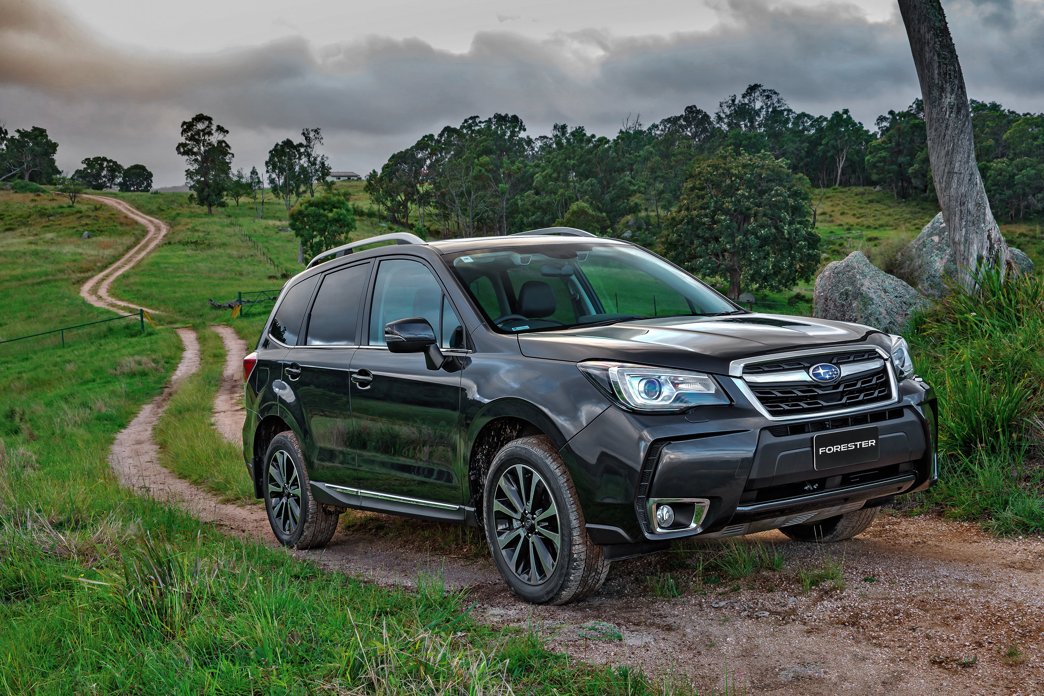 Subaru Forester Limited Specs