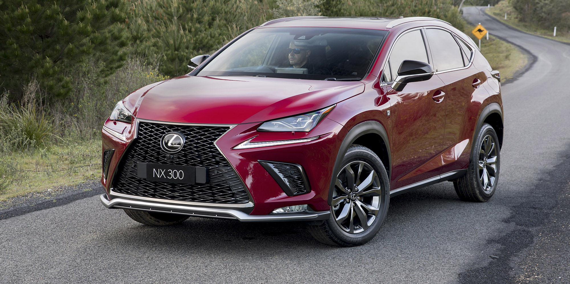 2018 Lexus NX pricing and specs Photos (1 of 38)