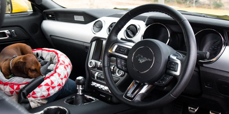 We Re Driving In My Car I Turn On The Radio We Re Driving In My Car I Turn On The Radio