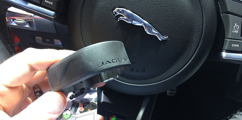 Jaguar activity key