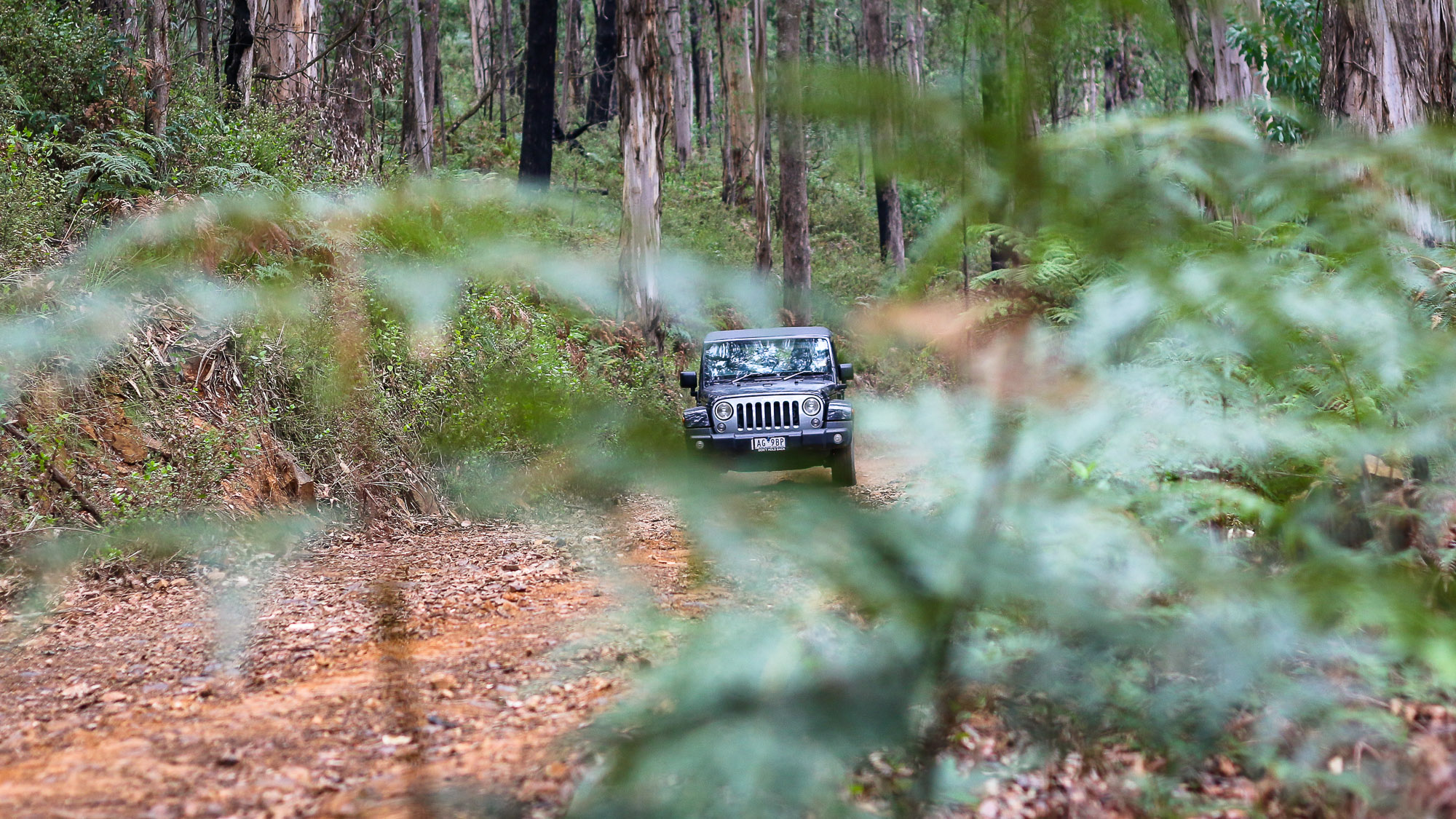 2014 Jeep Wrangler Review : Freedom Special Edition - Photos | CarAdvice