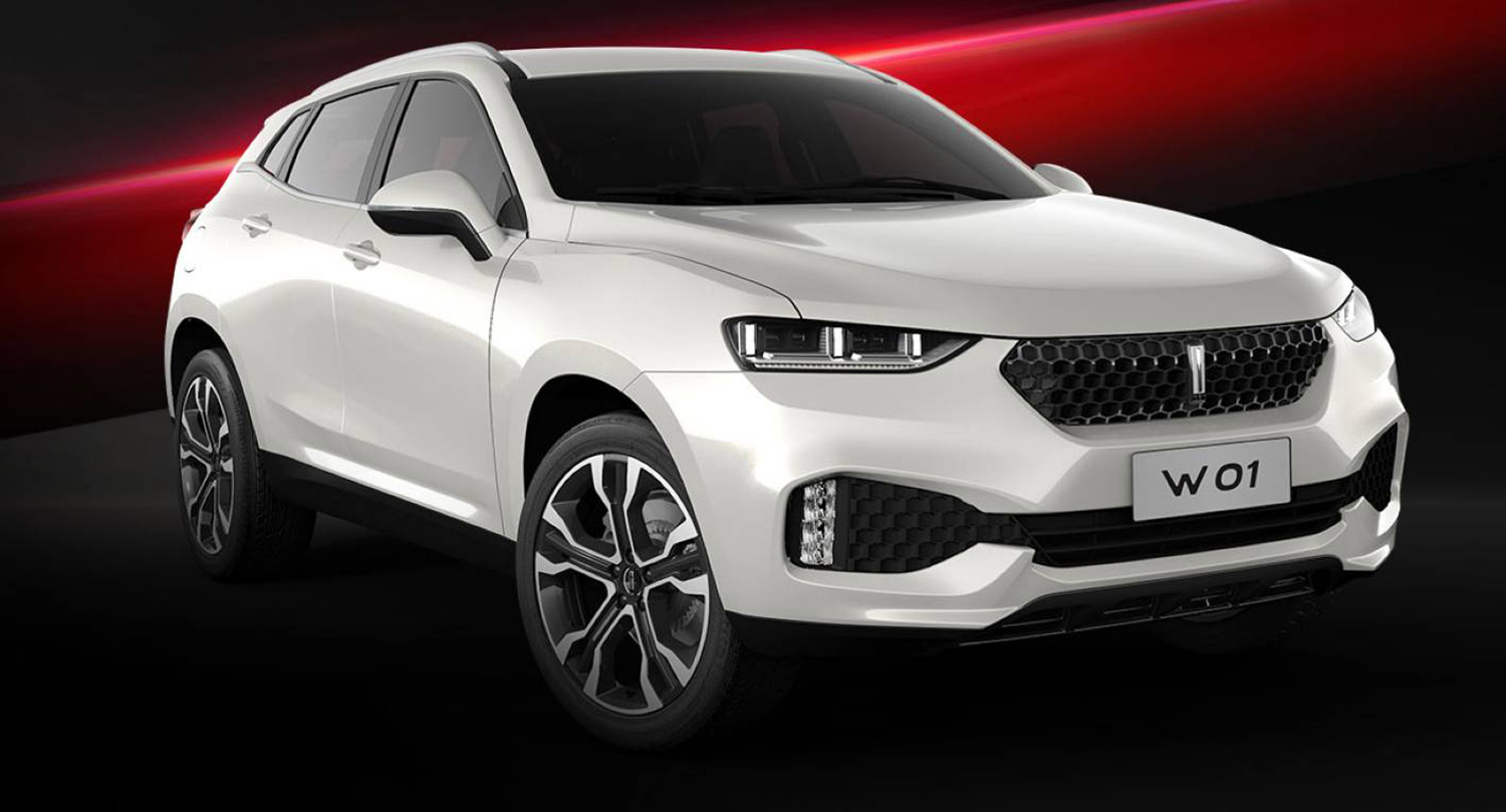 Great Wall reveals WEY luxury SUV brand: Not on the cards ...