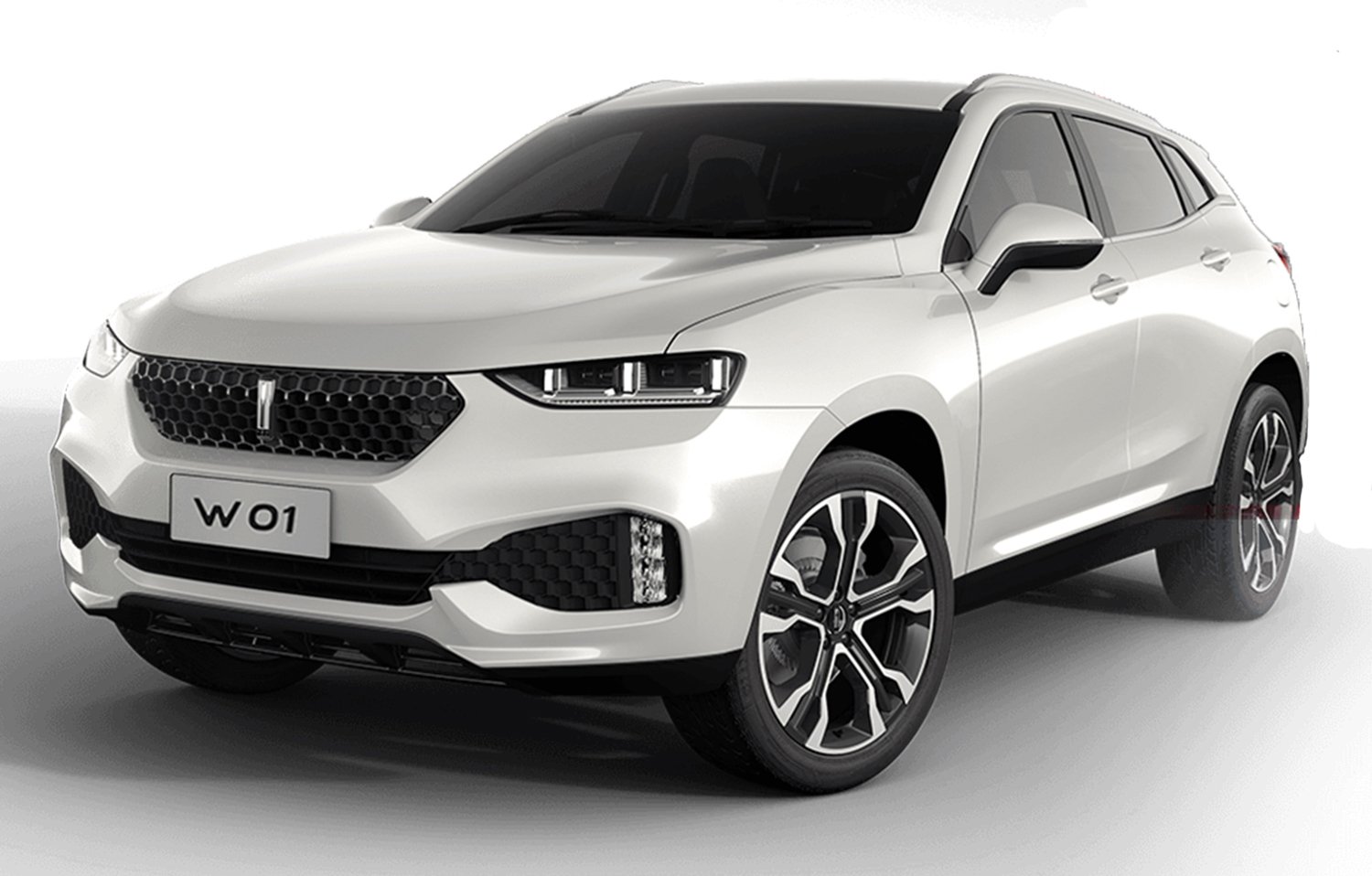 Great Wall reveals WEY luxury SUV brand: Not on the cards ...